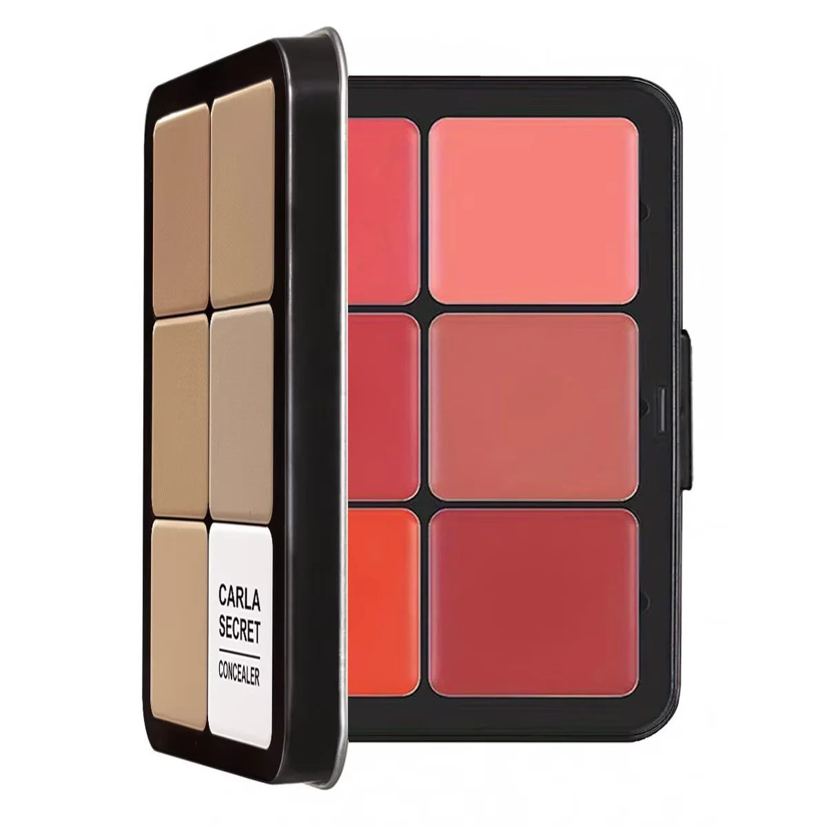 Palette blush tout-en-un anti-cernes